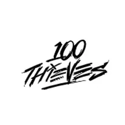 100thieves.com