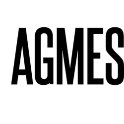 agmesnyc.com