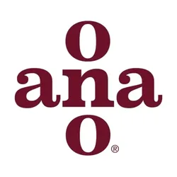 anaono.com