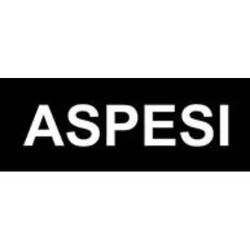 aspesi.com