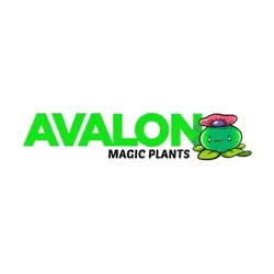 avalonmagicplants.com