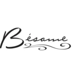 besamecosmetics.com