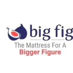 bigfigmattress.com