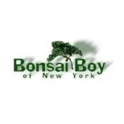 bonsaiboy.com