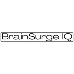 brainsurgeiq.com