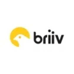 briiv.co.uk