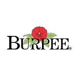 burpee.com