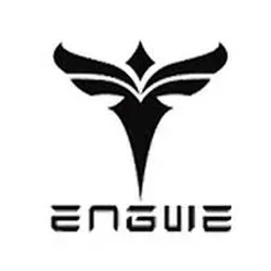 engwe-bikes.com