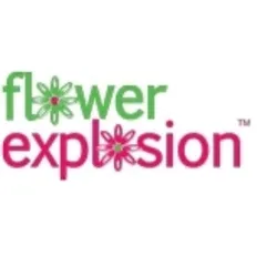 flowerexplosion.com