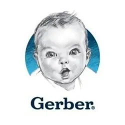 gerberchildrenswear.com