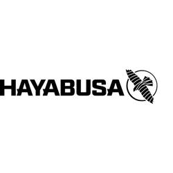 hayabusafight.com