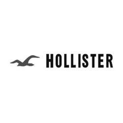 hollisterco.com