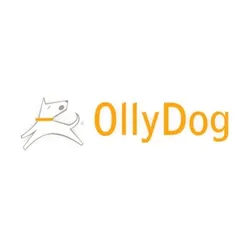 ollydog.com