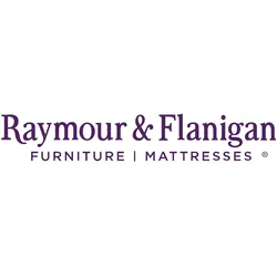 raymourflanigan.com