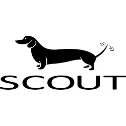 scoutbags.com