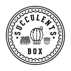 succulentsbox.com