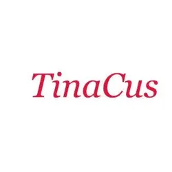 tinacustom.com