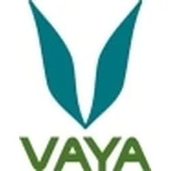 vayalife.com