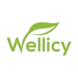 wellicy.com