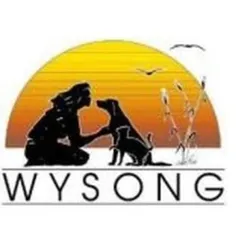 wysong.net