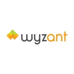 wyzant.com